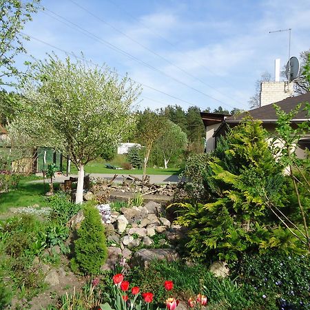 Homestay Roja Vilnius Dış mekan fotoğraf