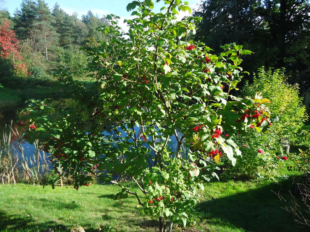 Homestay Roja Vilnius Dış mekan fotoğraf