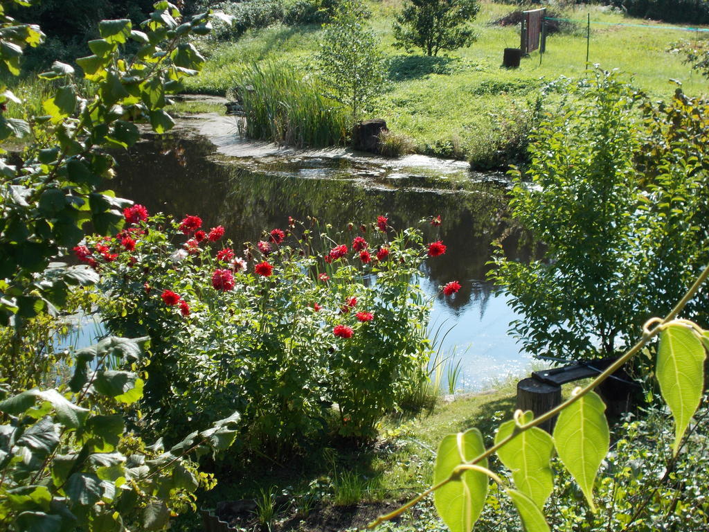 Homestay Roja Vilnius Dış mekan fotoğraf