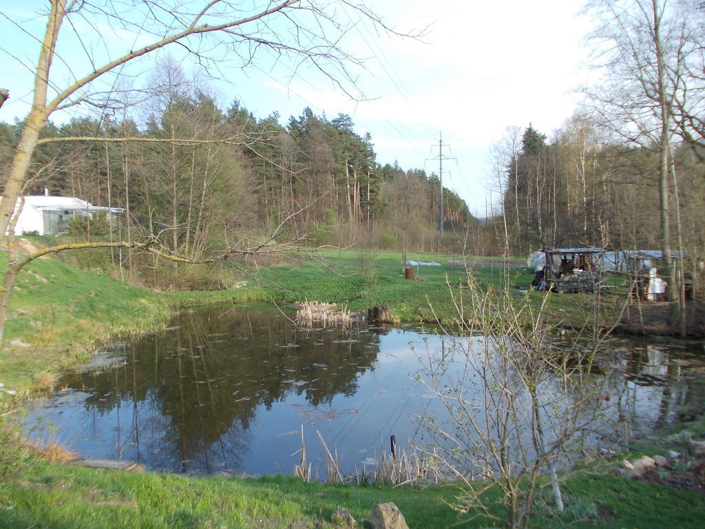 Homestay Roja Vilnius Dış mekan fotoğraf