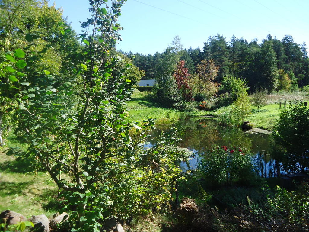 Homestay Roja Vilnius Dış mekan fotoğraf