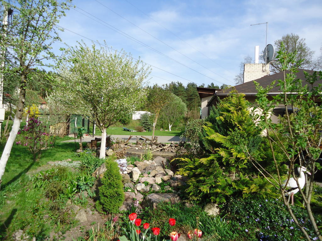 Homestay Roja Vilnius Dış mekan fotoğraf